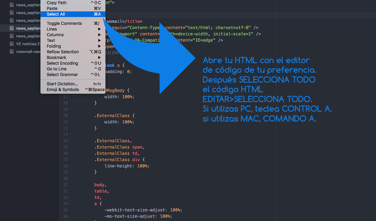 email marketing campaign